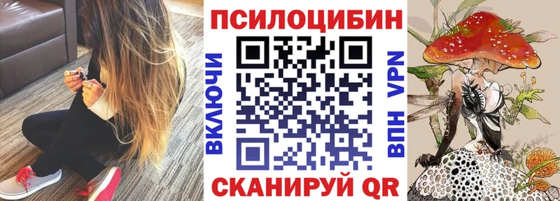 Галлюциногенные грибы Cubensis  Кызыл 